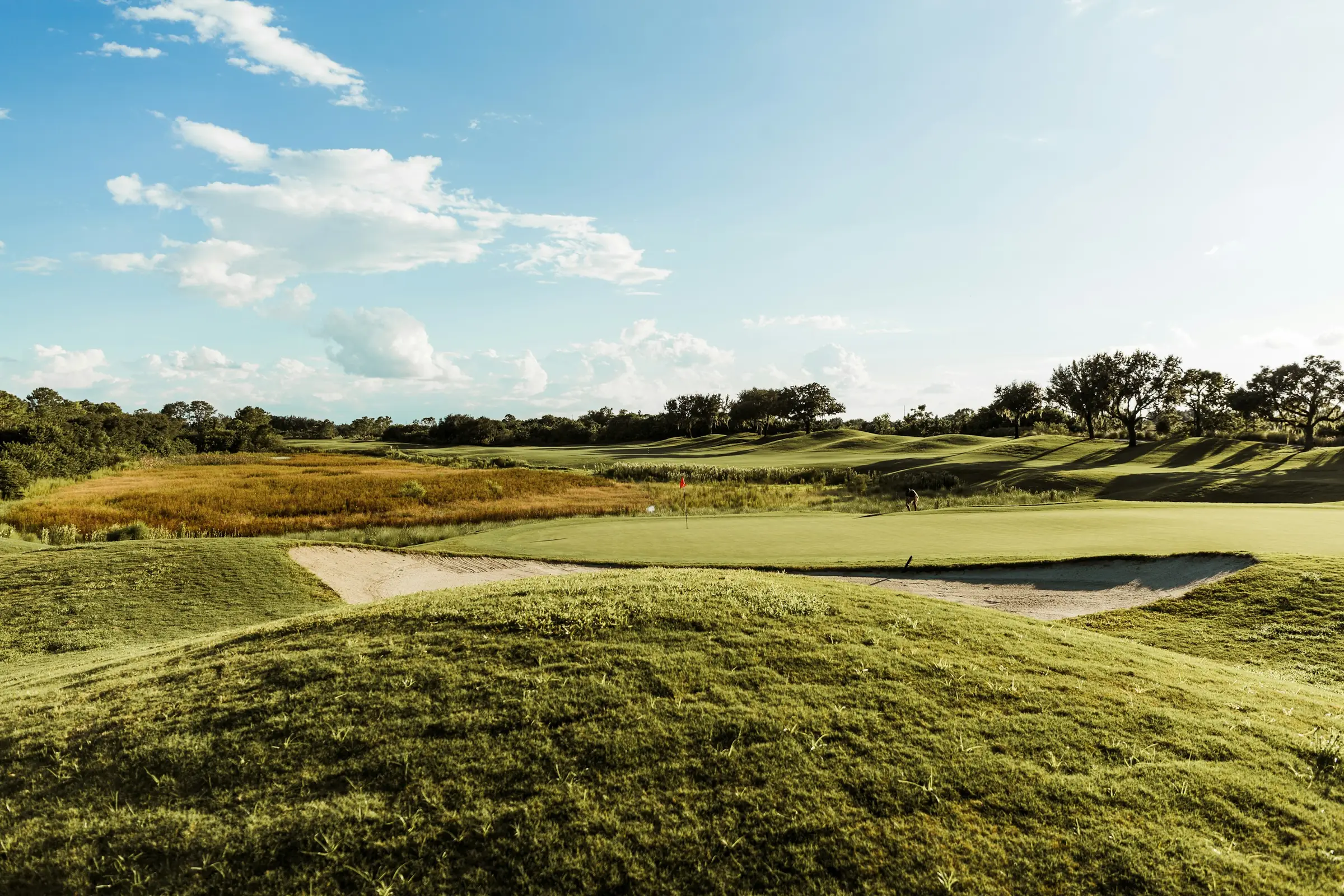 A golf green and bunkers seen from a grassy rise, treeline on the horizon